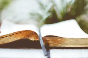 Bookmark examples